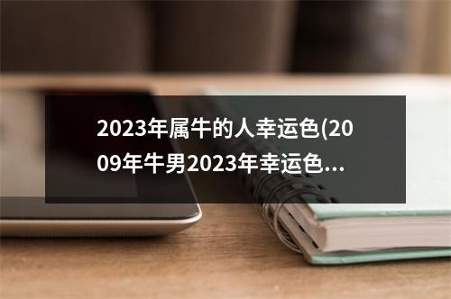 2023年属牛的人幸运色(2009年牛男2023年幸运色)