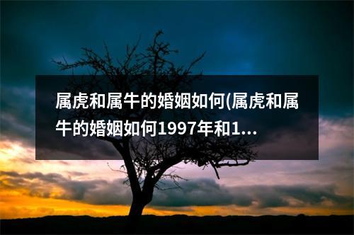 属虎和属牛的婚姻如何(属虎和属牛的婚姻如何1997年和1998年)