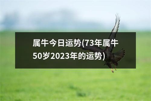 属牛今日运势(73年属牛50岁2023年的运势)