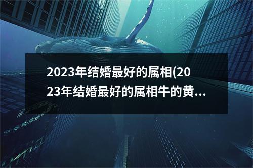 2023年结婚好的属相(2023年结婚好的属相牛的黄道吉日)