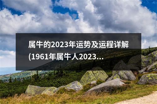 属牛的2023年运势及运程详解(1961年属牛人2023年运势及运程)