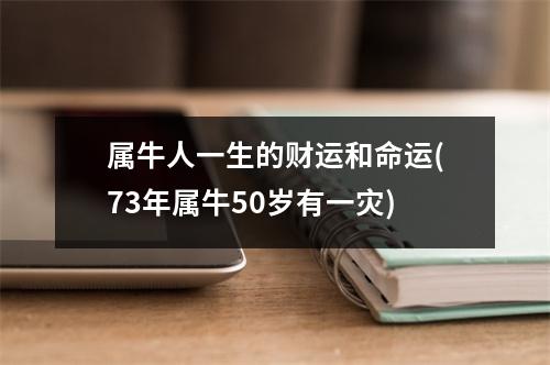 属牛人一生的财运和命运(73年属牛50岁有一灾)