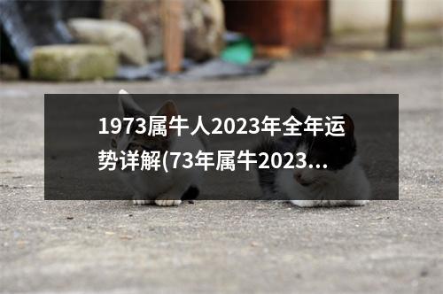 1973属牛人2023年全年运势详解(73年属牛2023年有三喜)