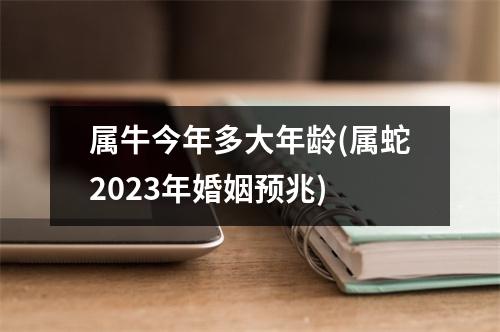 属牛今年多大年龄(属蛇2023年婚姻预兆)