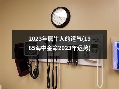 2023年属牛人的运气(1985海中金命2023年运势)