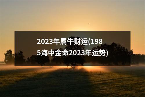 2023年属牛财运(1985海中金命2023年运势)