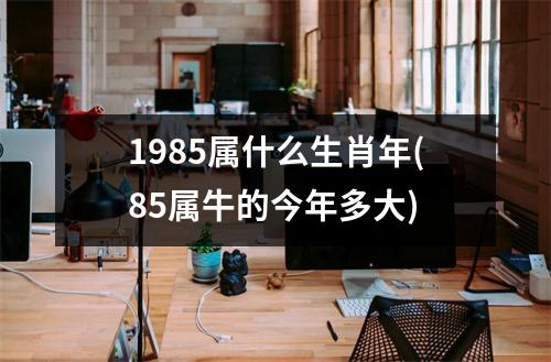 1985属什么生肖年(85属牛的今年多大)