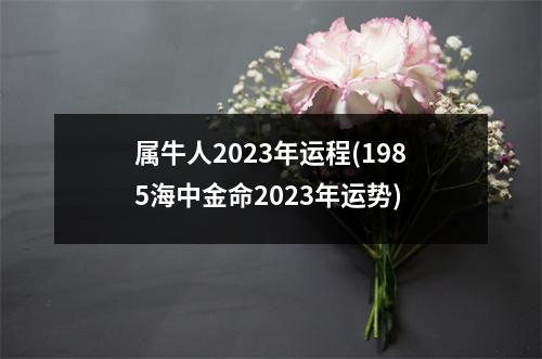 属牛人2023年运程(1985海中金命2023年运势)