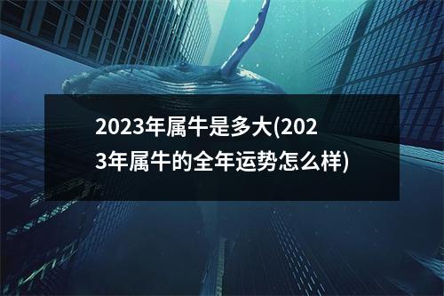 2023年属牛是多大(2023年属牛的全年运势怎么样)