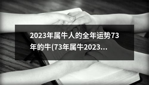 2023年属牛人的全年运势73年的牛(73年属牛2023年有三喜)