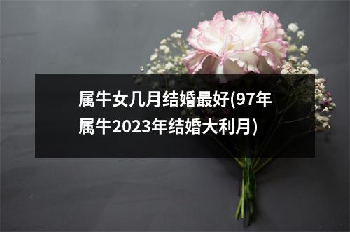 属牛女几月结婚好(97年属牛2023年结婚大利月)