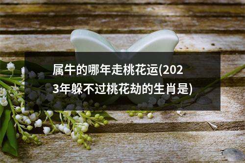 属牛的哪年走桃花运(2023年躲不过桃花劫的生肖是)