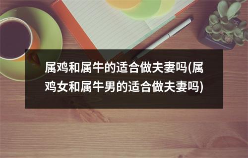 属鸡和属牛的适合做夫妻吗(属鸡女和属牛男的适合做夫妻吗)