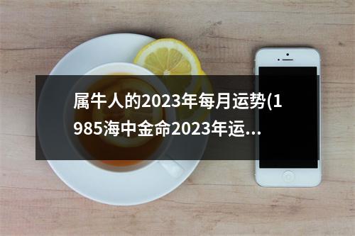 属牛人的2023年每月运势(1985海中金命2023年运势)