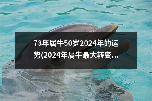 73年属牛50岁2024年的运势(2024年属牛大转变的一年吗)