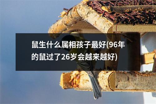 鼠生什么属相孩子好(96年的鼠过了26岁会越来越好)