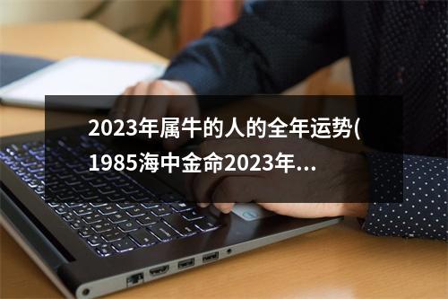 2023年属牛的人的全年运势(1985海中金命2023年运势)