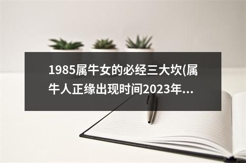 1985属牛女的必经三大坎(属牛人正缘出现时间2023年)