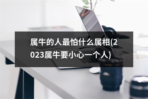 属牛的人怕什么属相(2023属牛要小心一个人)