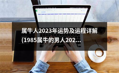 属牛人2023年运势及运程详解(1985属牛的男人2023年运势及运程)