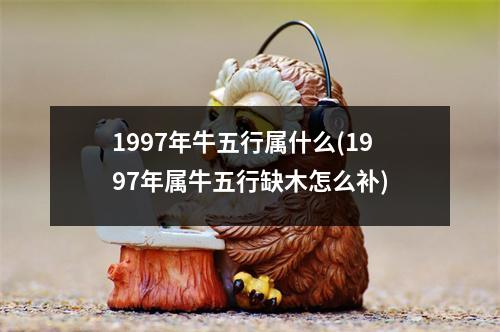 1997年牛五行属什么(1997年属牛五行缺木怎么补)