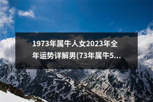 1973年属牛人女2023年全年运势详解男(73年属牛50岁后命运)