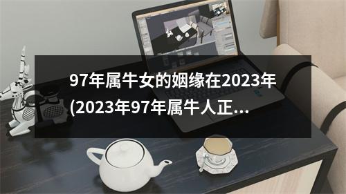 97年属牛女的姻缘在2023年(2023年97年属牛人正缘方位)