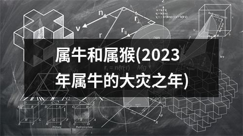 属牛和属猴(2023年属牛的大灾之年)