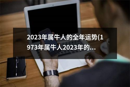 2023年属牛人的全年运势(1973年属牛人2023年的运势)