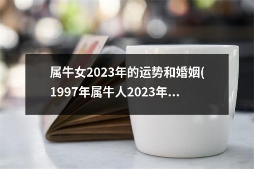 属牛女2023年的运势和婚姻(1997年属牛人2023年的运势和婚姻)