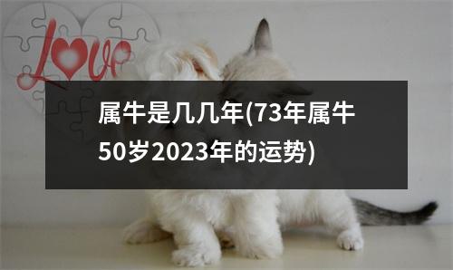 属牛是几几年(73年属牛50岁2023年的运势)