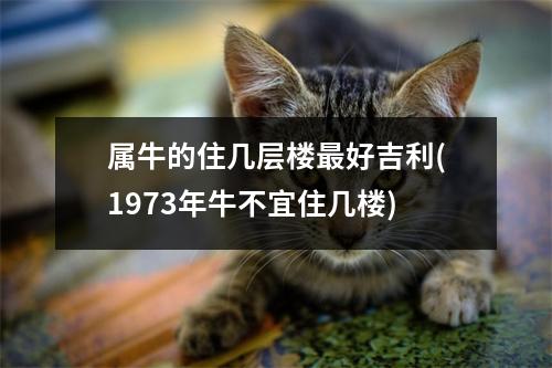 属牛的住几层楼好吉利(1973年牛不宜住几楼)