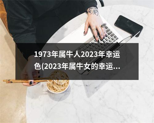 1973年属牛人2023年幸运色(2023年属牛女的幸运色)