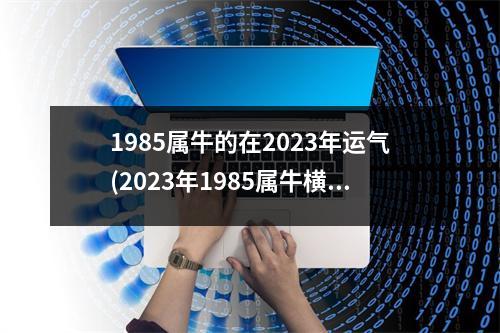 1985属牛的在2023年运气(2023年1985属牛横财运爆发)