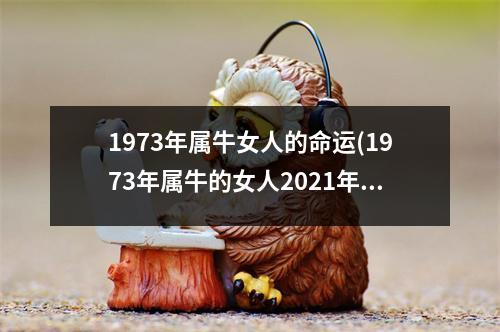 1973年属牛女人的命运(1973年属牛的女人2021年运势及运程)