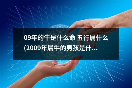 09年的牛是什么命 五行属什么(2009年属牛的男孩是什么命)