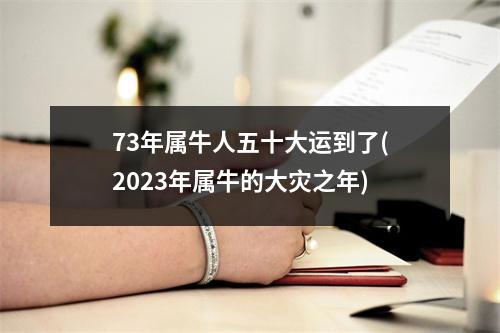 73年属牛人五十大运到了(2023年属牛的大灾之年)