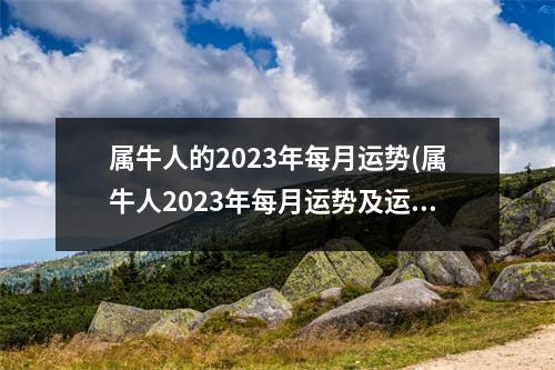 属牛人的2023年每月运势(属牛人2023年每月运势及运程详解1985)