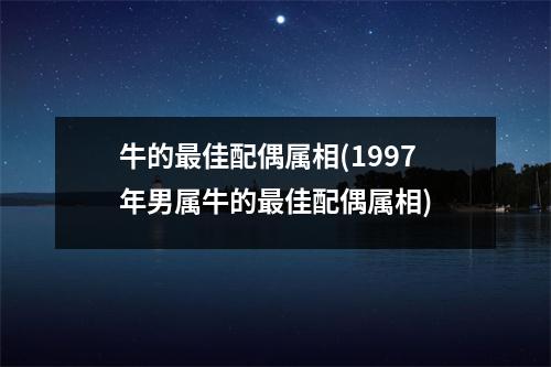 牛的佳配偶属相(1997年男属牛的佳配偶属相)