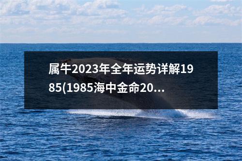 属牛2023年全年运势详解1985(1985海中金命2023年运势)