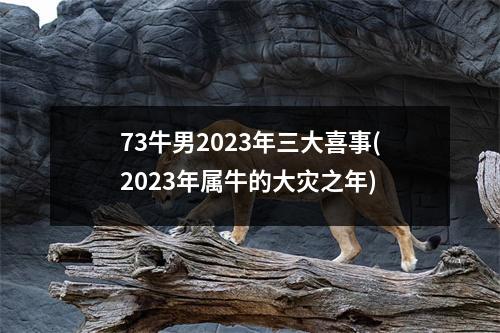 73牛男2023年三大喜事(2023年属牛的大灾之年)