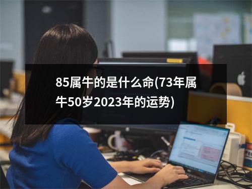 85属牛的是什么命(73年属牛50岁2023年的运势)