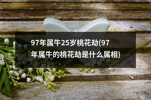 97年属牛25岁桃花劫(97年属牛的桃花劫是什么属相)