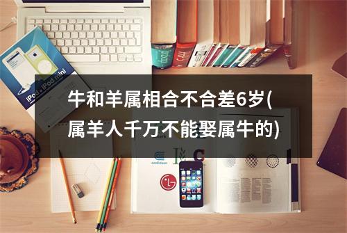 牛和羊属相合不合差6岁(属羊人千万不能娶属牛的)