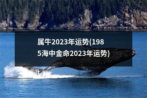 属牛2023年运势(1985海中金命2023年运势)