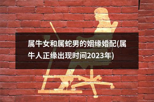 属牛女和属蛇男的姻缘婚配(属牛人正缘出现时间2023年)