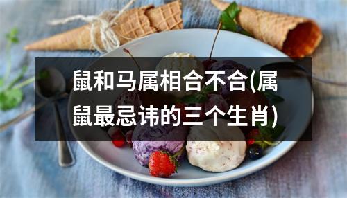 鼠和马属相合不合(属鼠忌讳的三个生肖)