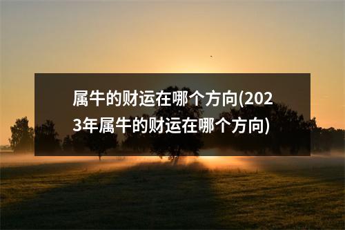 属牛的财运在哪个方向(2023年属牛的财运在哪个方向)