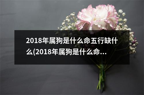 2018年属狗是什么命五行缺什么(2018年属狗是什么命五行缺什么属牛的女的什么命)