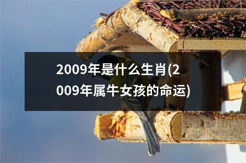 2009年是什么生肖(2009年属牛女孩的命运)